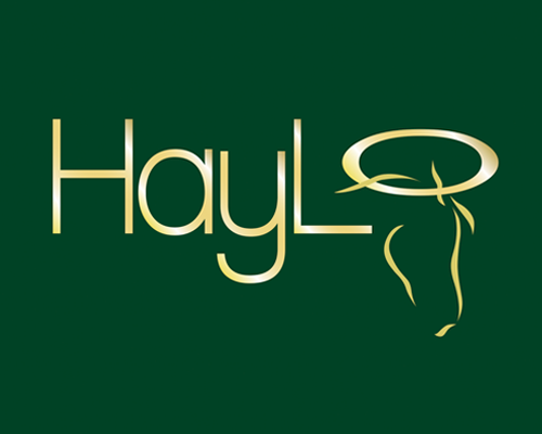 HayLo