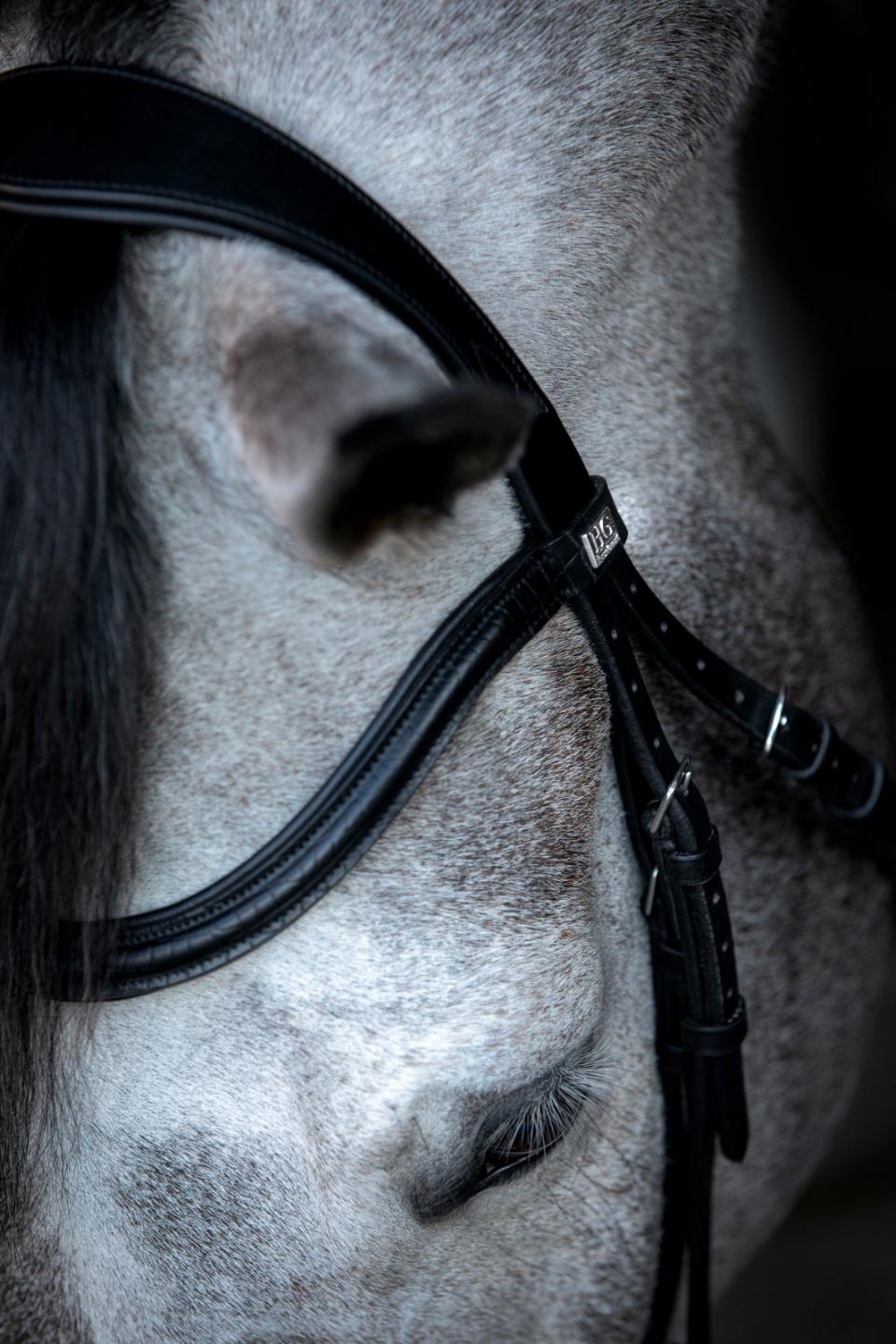 HorseGuard Emi 24.2 bridle with combined noseband, XFULL