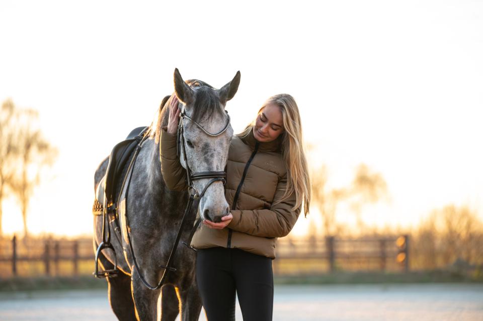 CATAGO Brooklyn bridle, brown, full