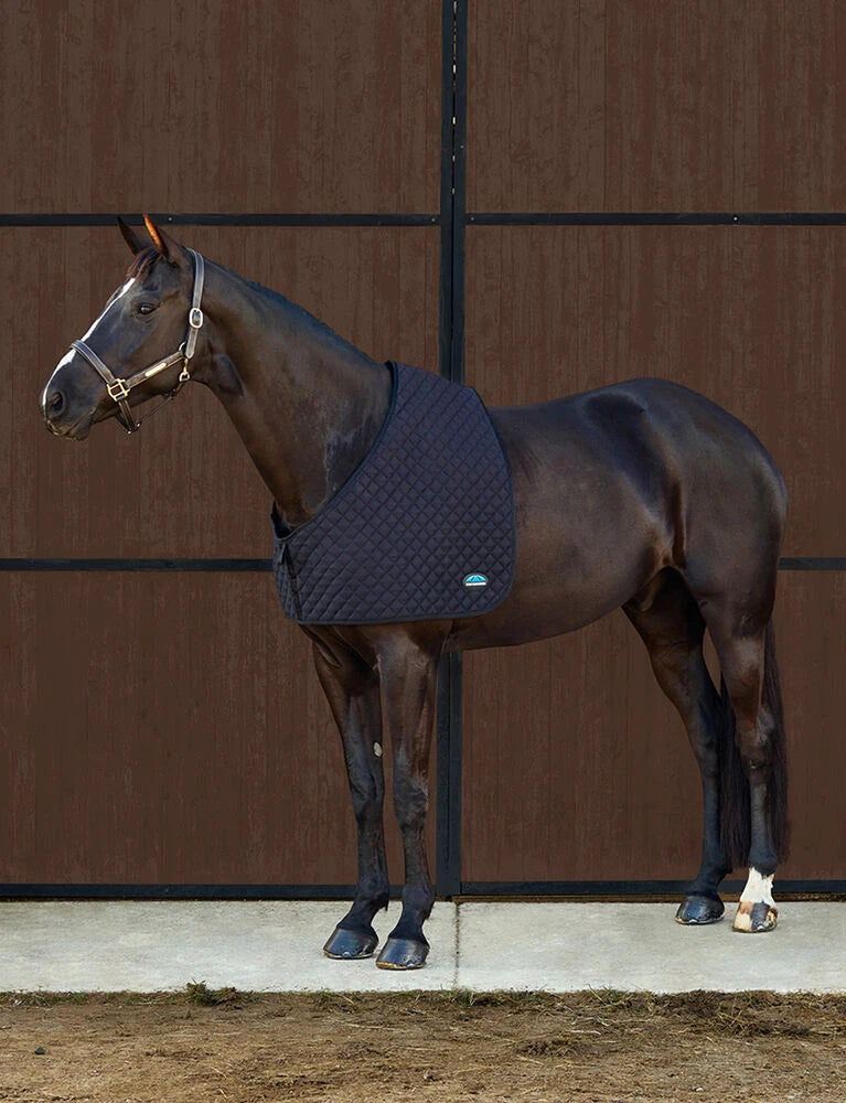 WEATHERBEETA DELUXE SHOULDER GUARD, Navy