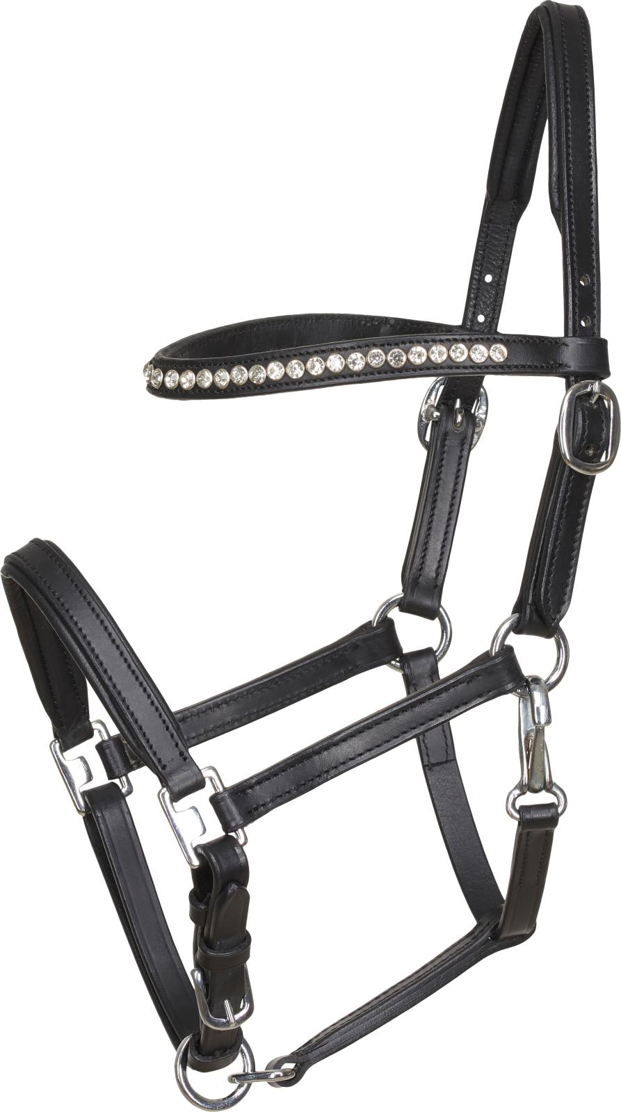 HorseGuard Foal showhalter, Black, YEARLING