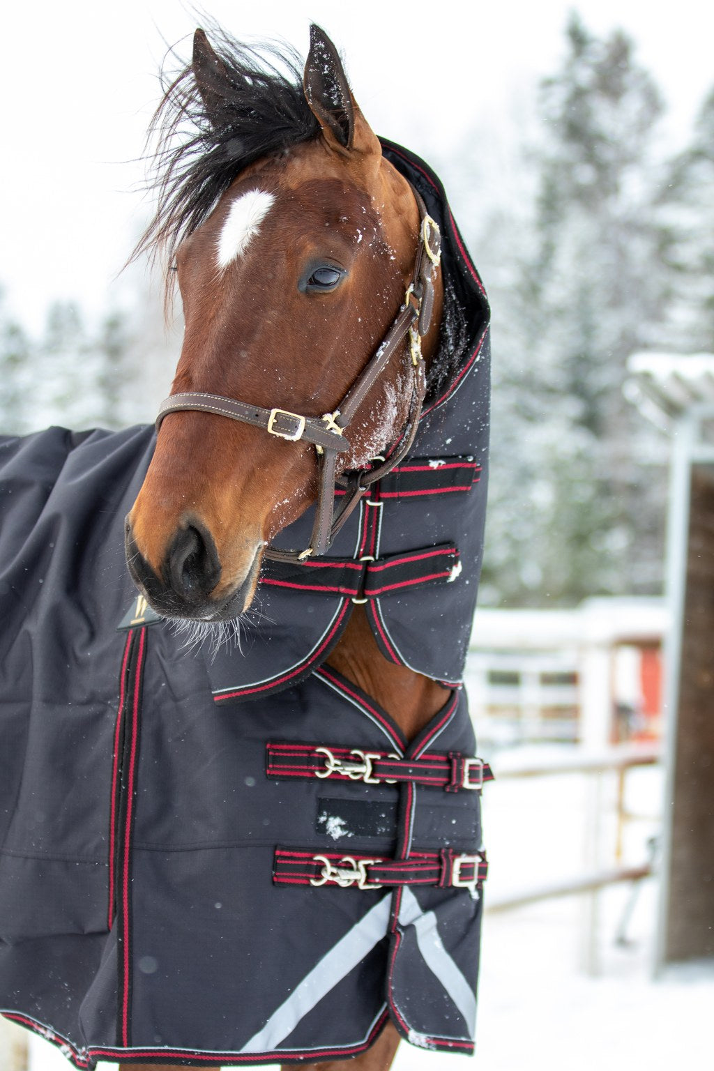 WAHLSTEN ULTIMATE 1200D+0G FULLNECK TURNOUT RUG, BLACK