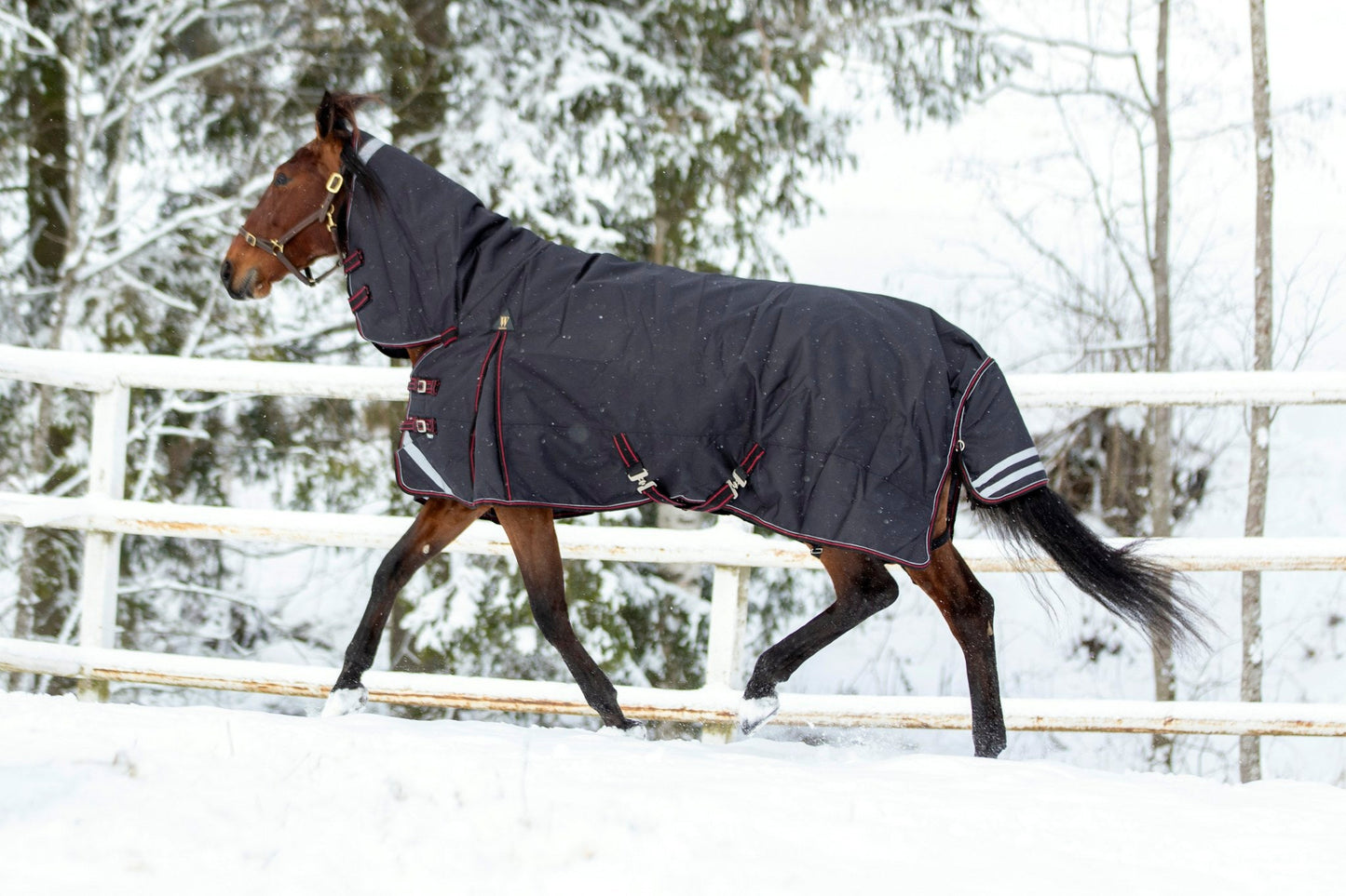 WAHLSTEN ULTIMATE 1200D+0G FULLNECK TURNOUT RUG, BLACK