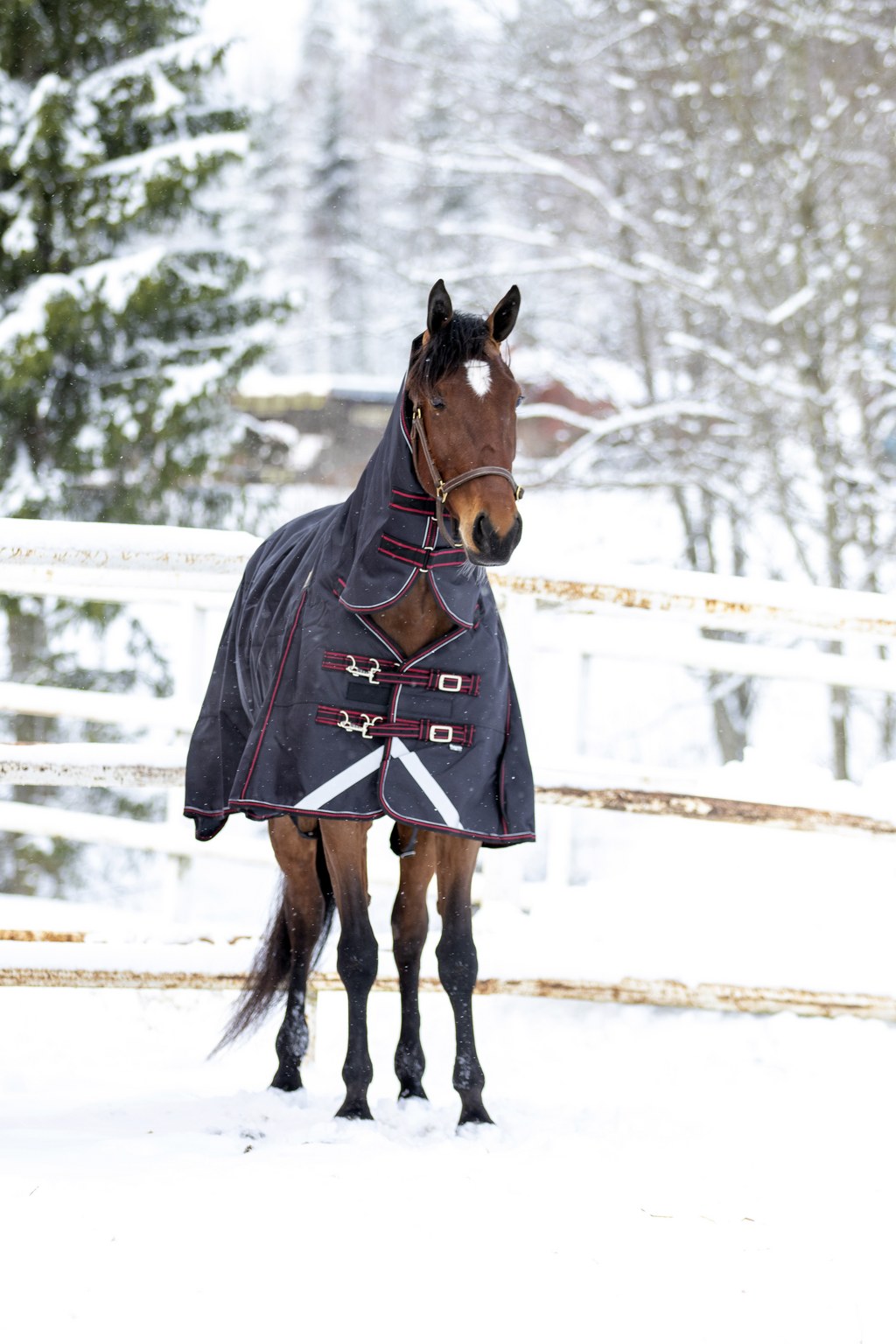 WAHLSTEN ULTIMATE 1200D+0G FULLNECK TURNOUT RUG, BLACK