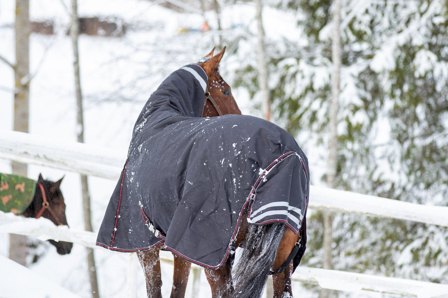 WAHLSTEN ULTIMATE 1200D+0G FULLNECK TURNOUT RUG, BLACK