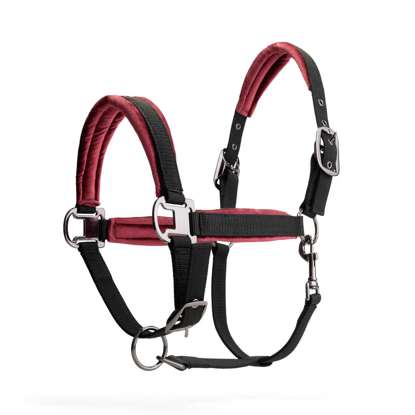 MRS. ROS HALTER SET FUCHSIA STAR, FULL