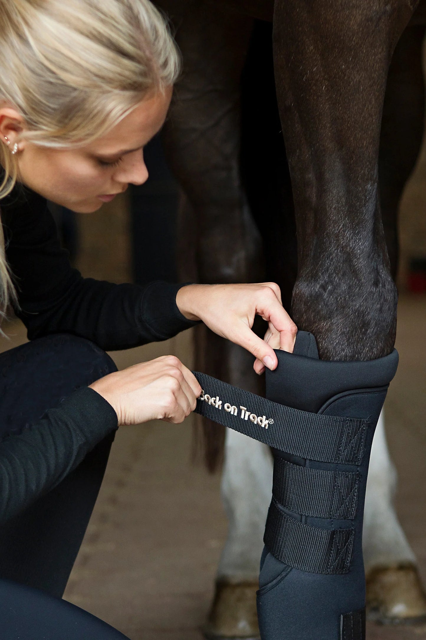 Back On Track ROYAL QUICK WRAPS, PAIR, BLACK