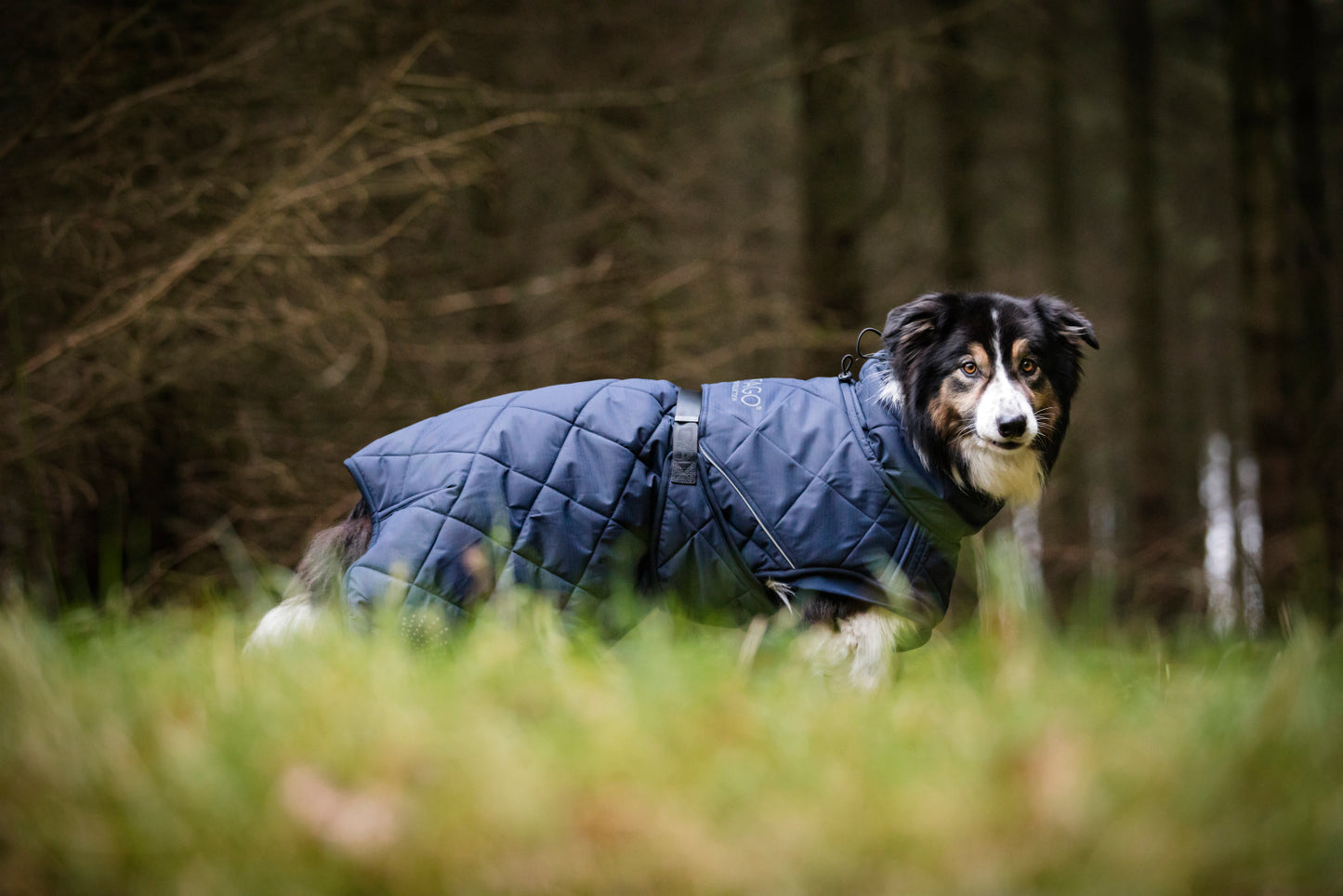 CATAGO Fir-Tech Trainer Dog rug