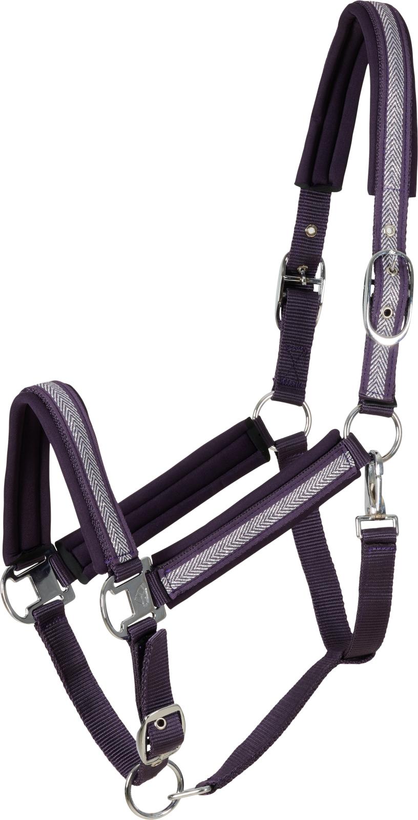 CATAGO Nate halter, COB, plum perfect