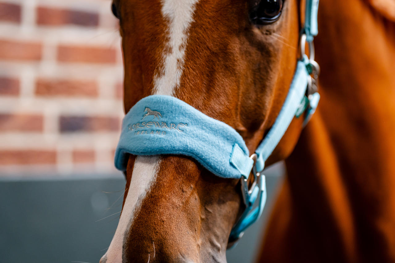 Horseware® Signature Grooming Headcollar