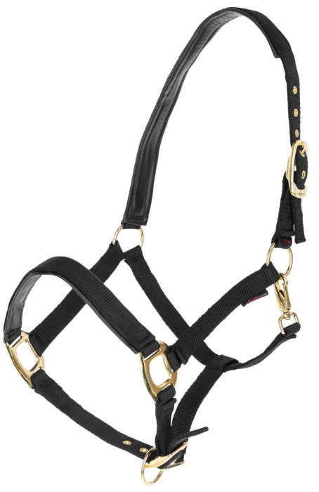 Halter TopLine, black, Cob