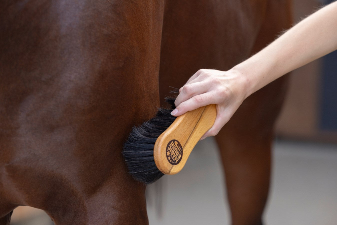 Magic Brush Cleaning Brush Coarse, Wood Arenga
