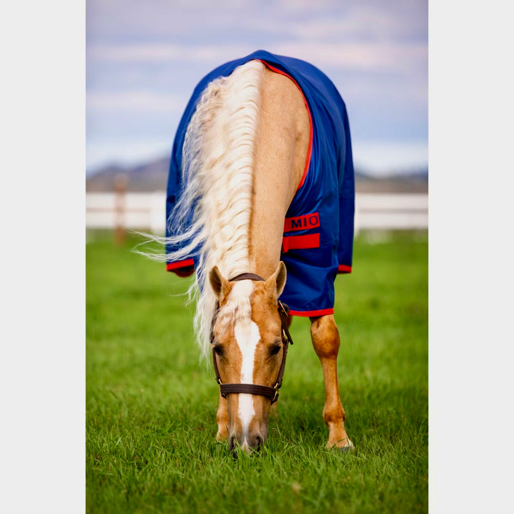 MIO TURNOUT LITE 0G, Dark Blue/Dark Blue & Red