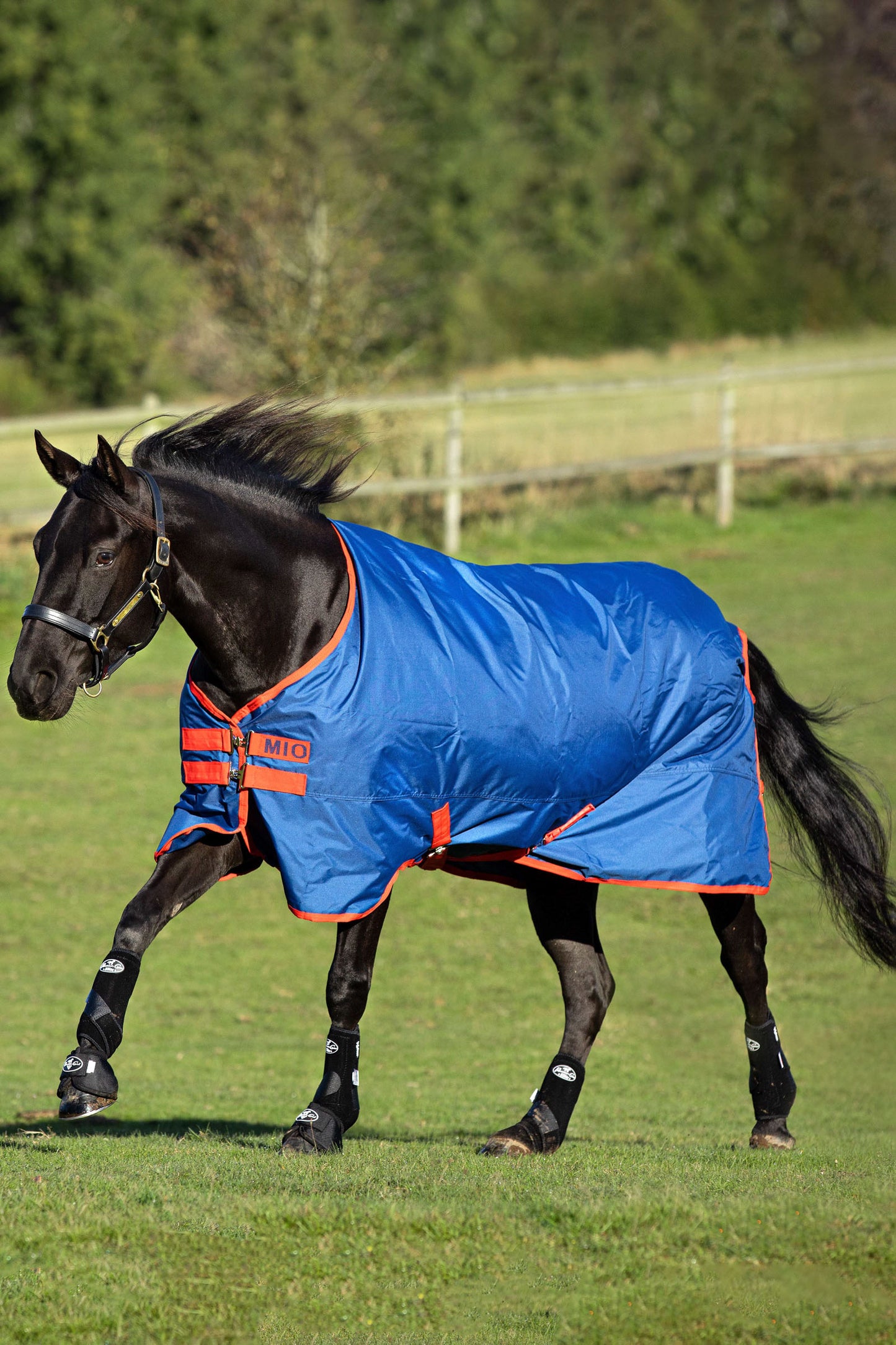 MIO TURNOUT LITE 0G, Dark Blue/Dark Blue & Red