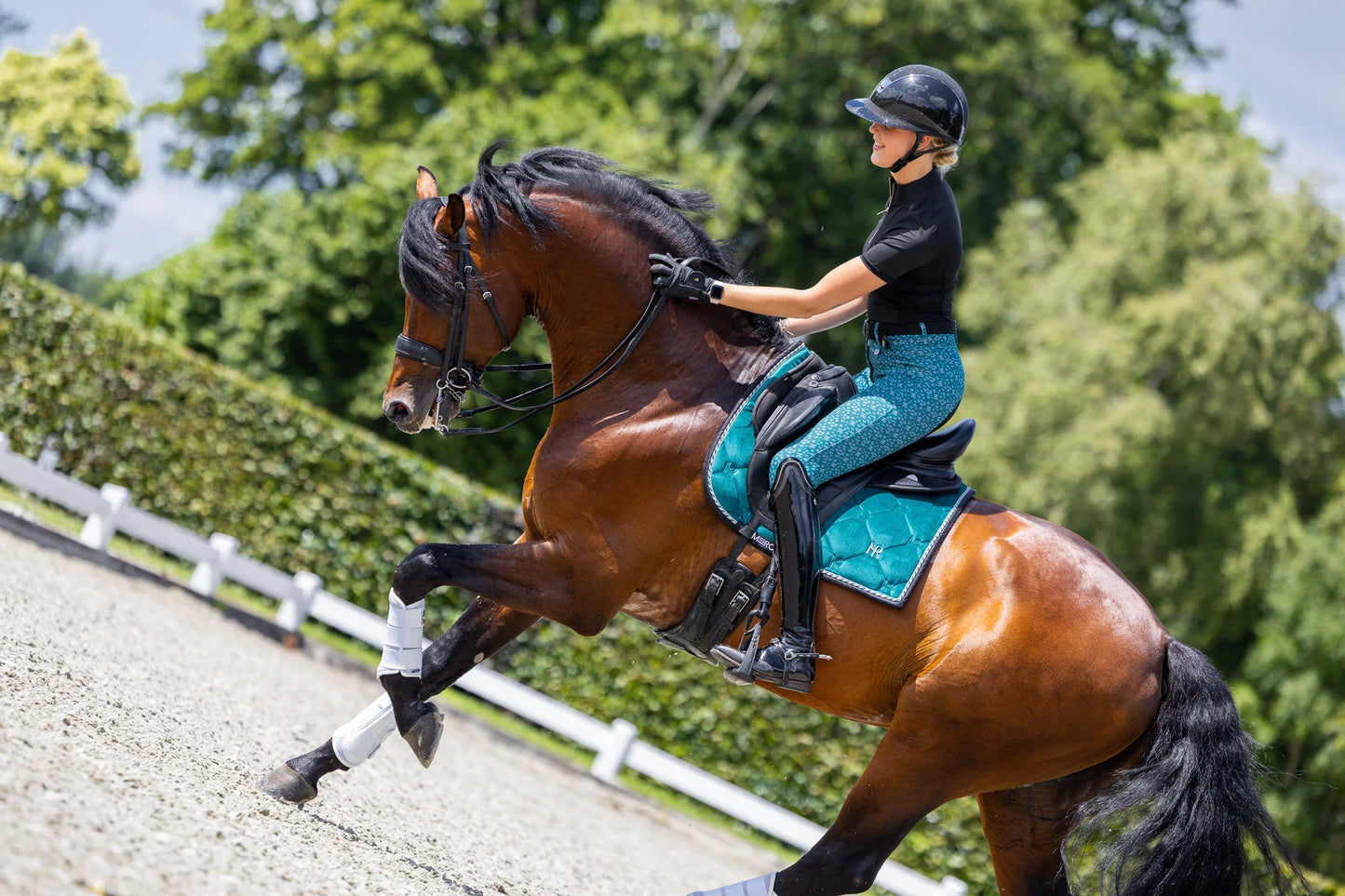 CHARMER DRESSAGE SADDLE PAD, DEEP LAKE, FULL