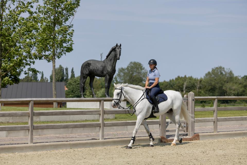 Catago FIR-Tech Grand 2.0 saddle pad, jumping, Navy, FULL