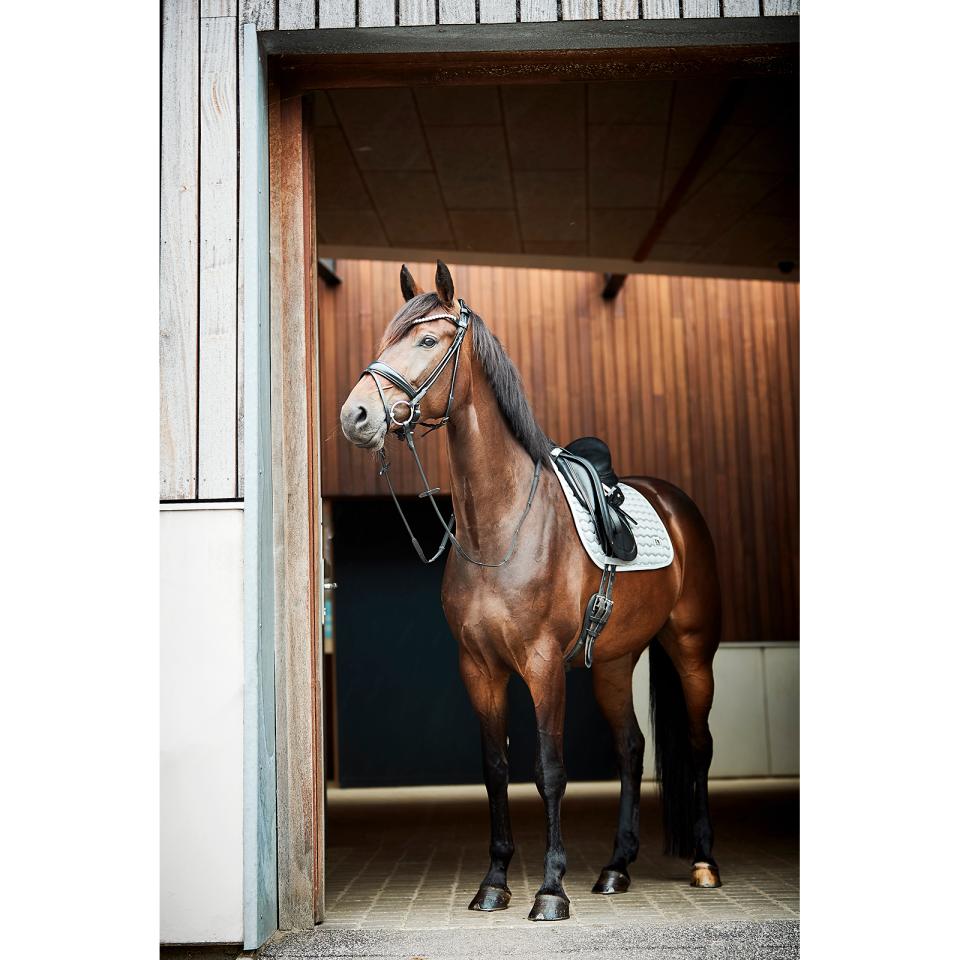 HG Kora saddle pad