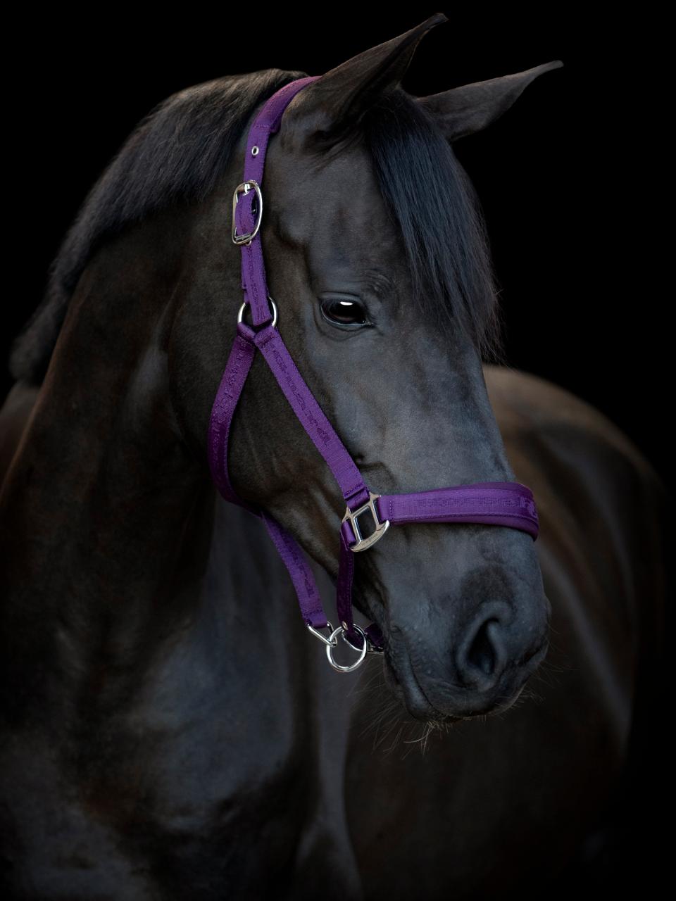 HorseGuard Diya halter 2.0, pony