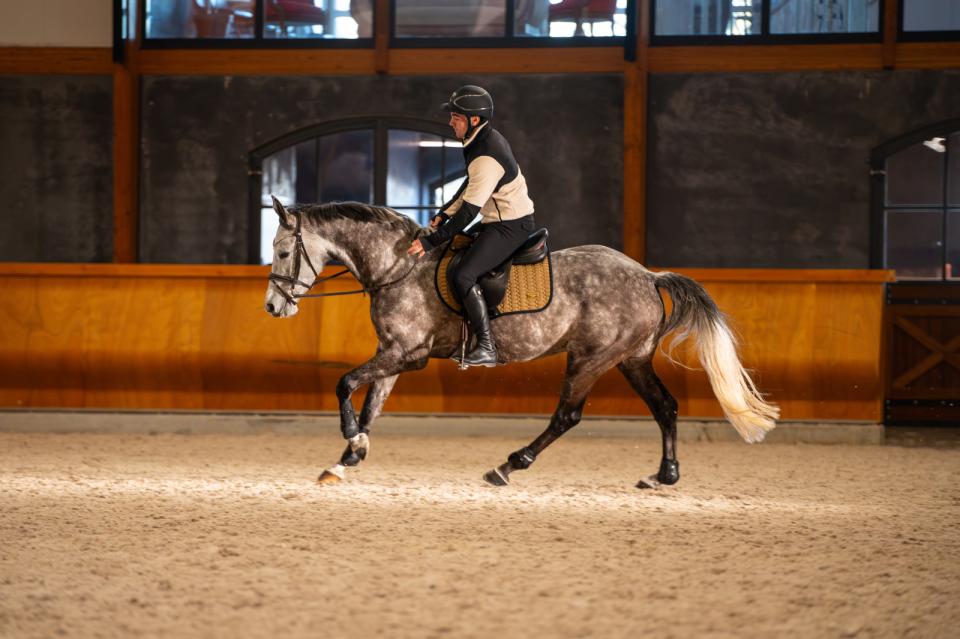 CATAGO FIR-Tech Grand Saddle pad