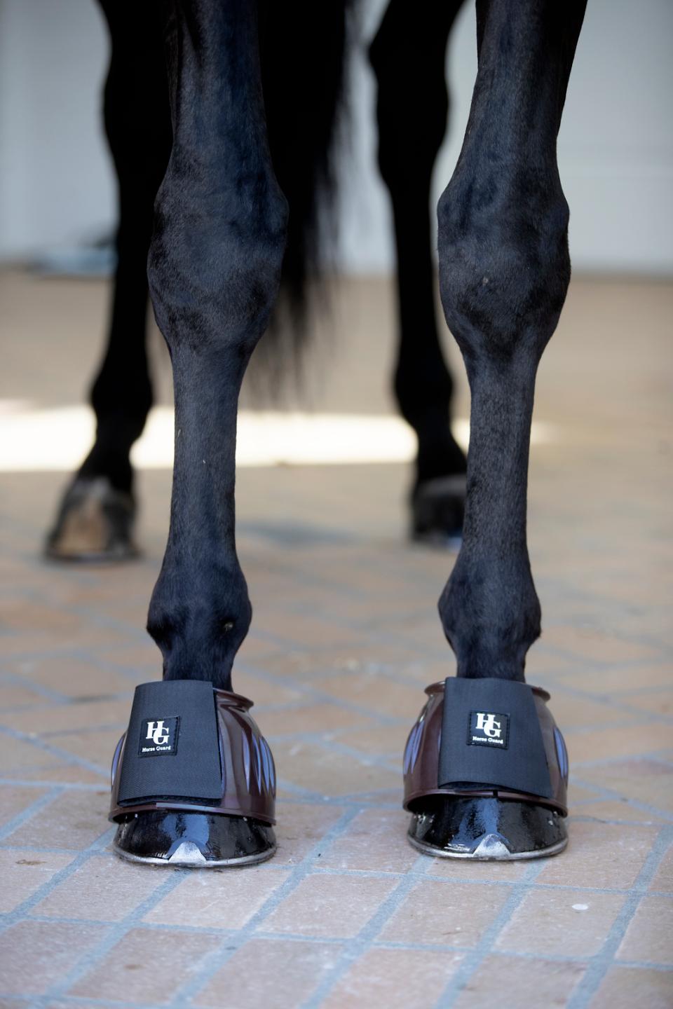 HorseGuard Tamsin bell boots