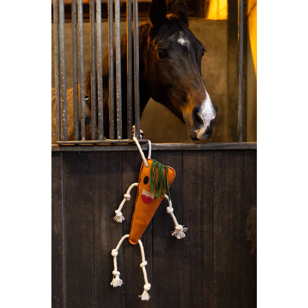 Excellent Horse Foodie Friends