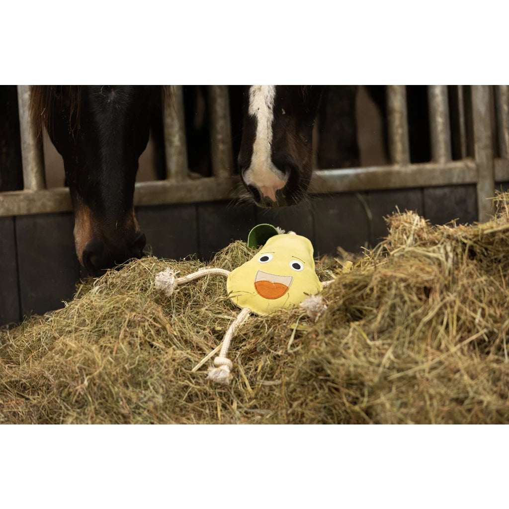 Excellent Horse Foodie Friends