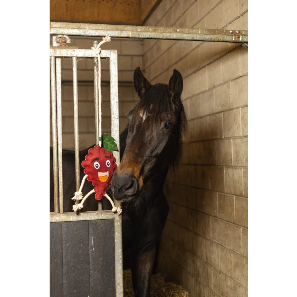Excellent Horse Foodie Friends