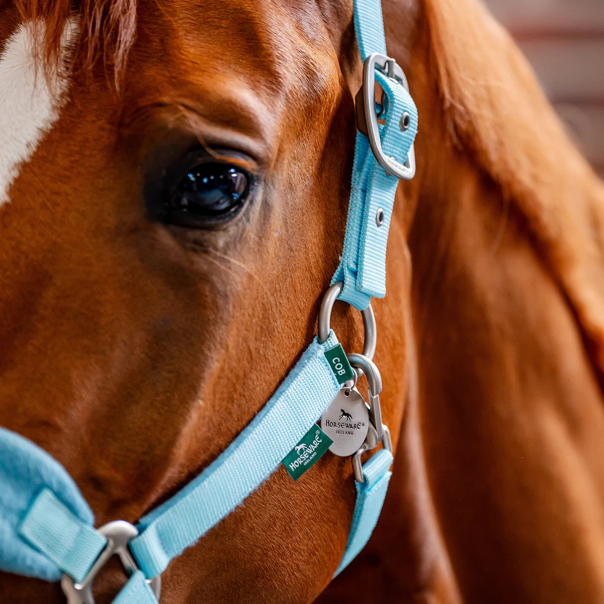 Horseware® Signature Grooming Headcollar