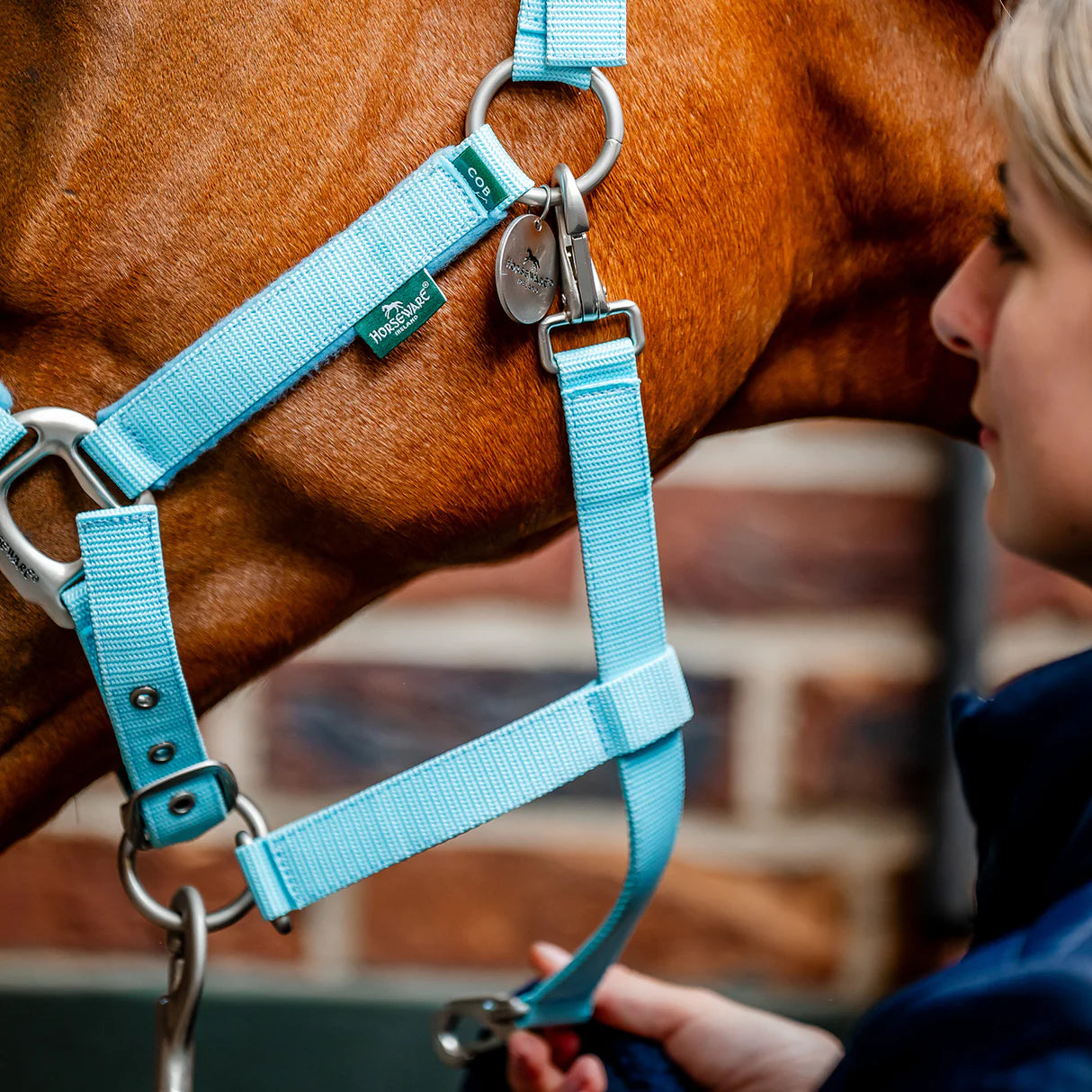 Horseware® Signature Grooming Headcollar