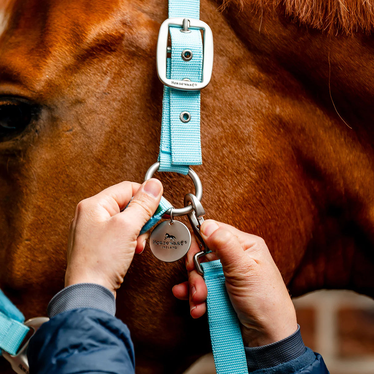 Horseware® Signature Grooming Headcollar
