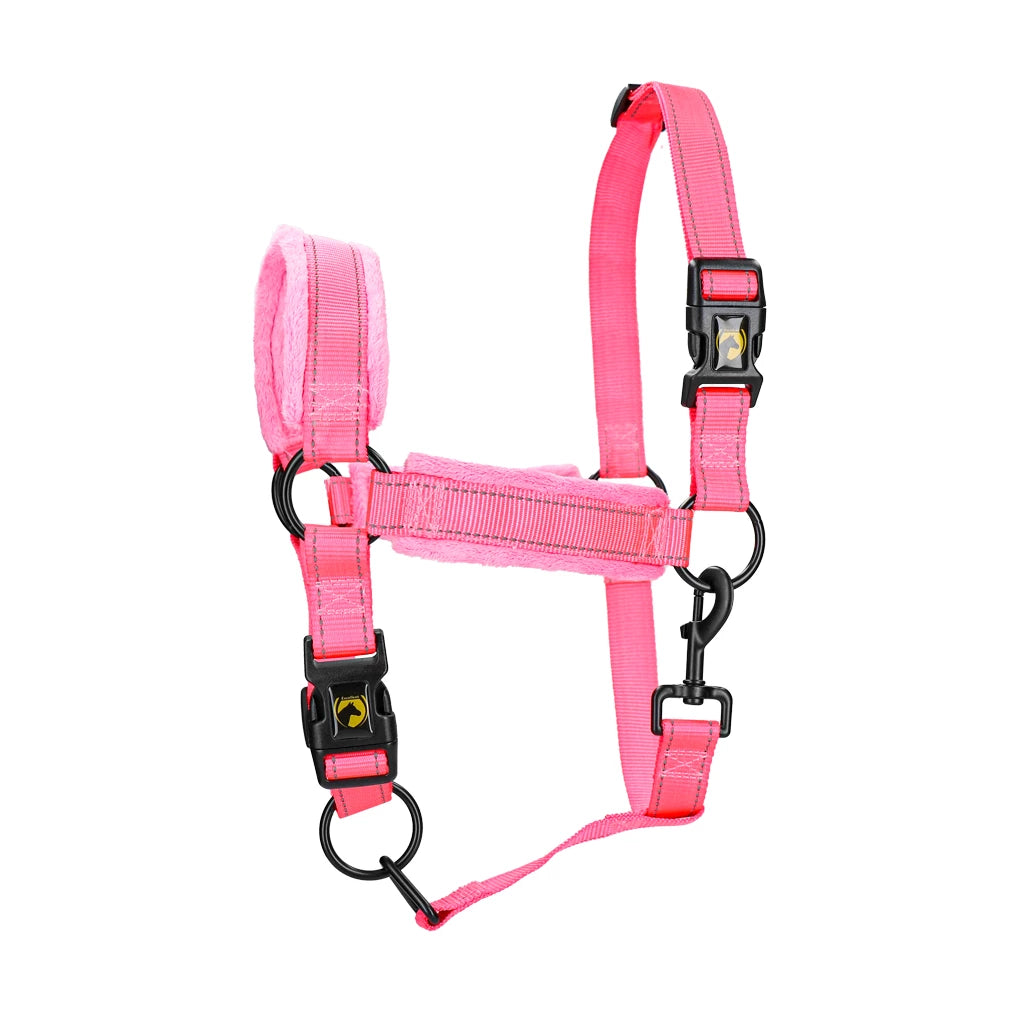 Excellent Superior Halter, Pink, Shet