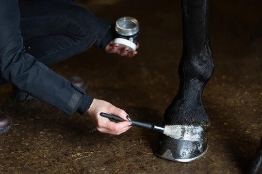 Hi Gloss Glitter Hoof Polish