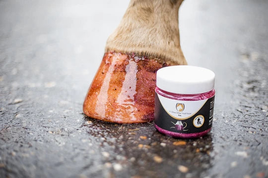 Hi Gloss Glitter Hoof Polish