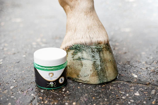 Hi Gloss Glitter Hoof Polish