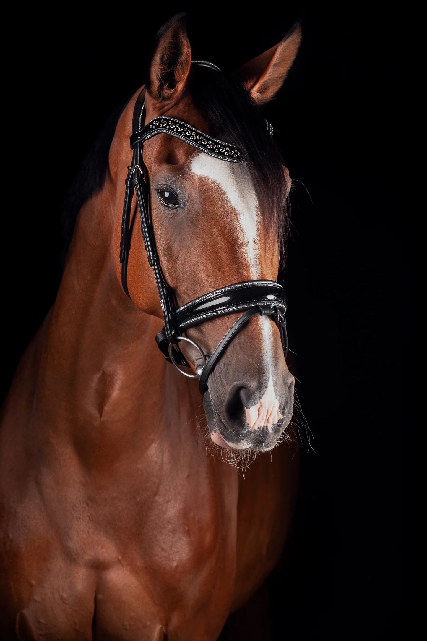 JOHNNY SILVER BRIDLE TRENS, FULL