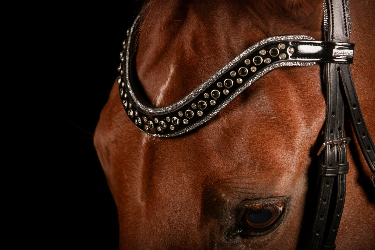 JOHNNY SILVER BRIDLE TRENS, FULL