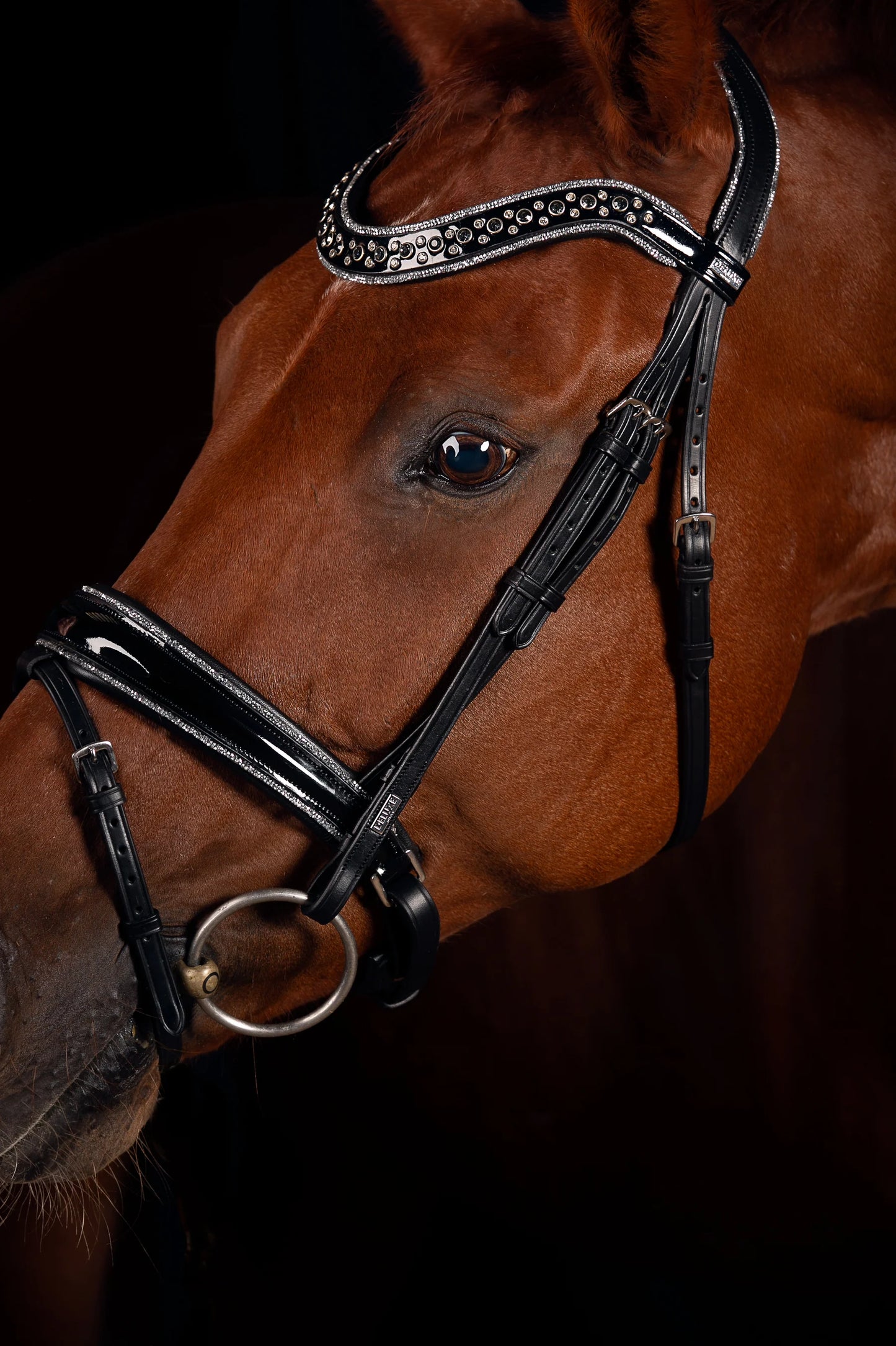 JOHNNY SILVER BRIDLE TRENS, FULL