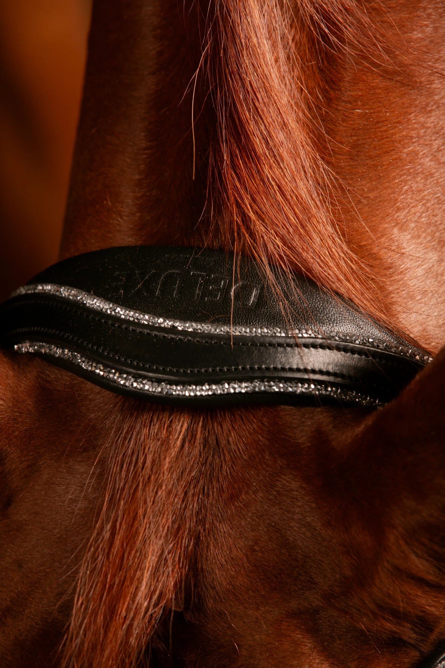 JOHNNY SILVER BRIDLE TRENS, FULL