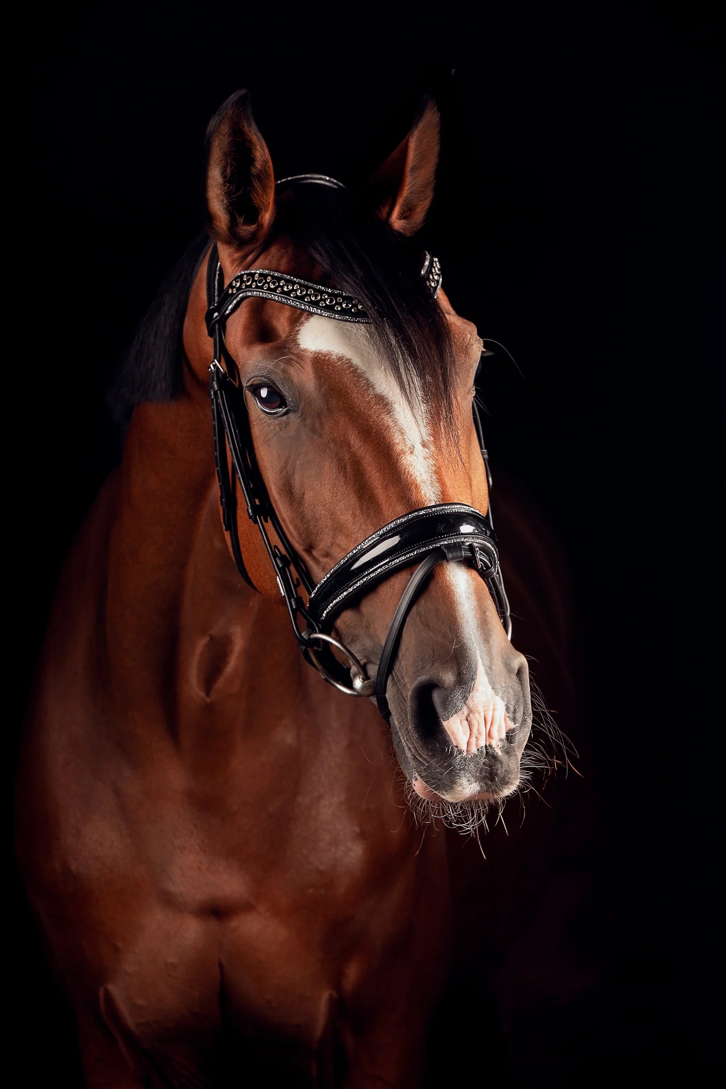 JOHNNY SILVER BRIDLE TRENS, FULL