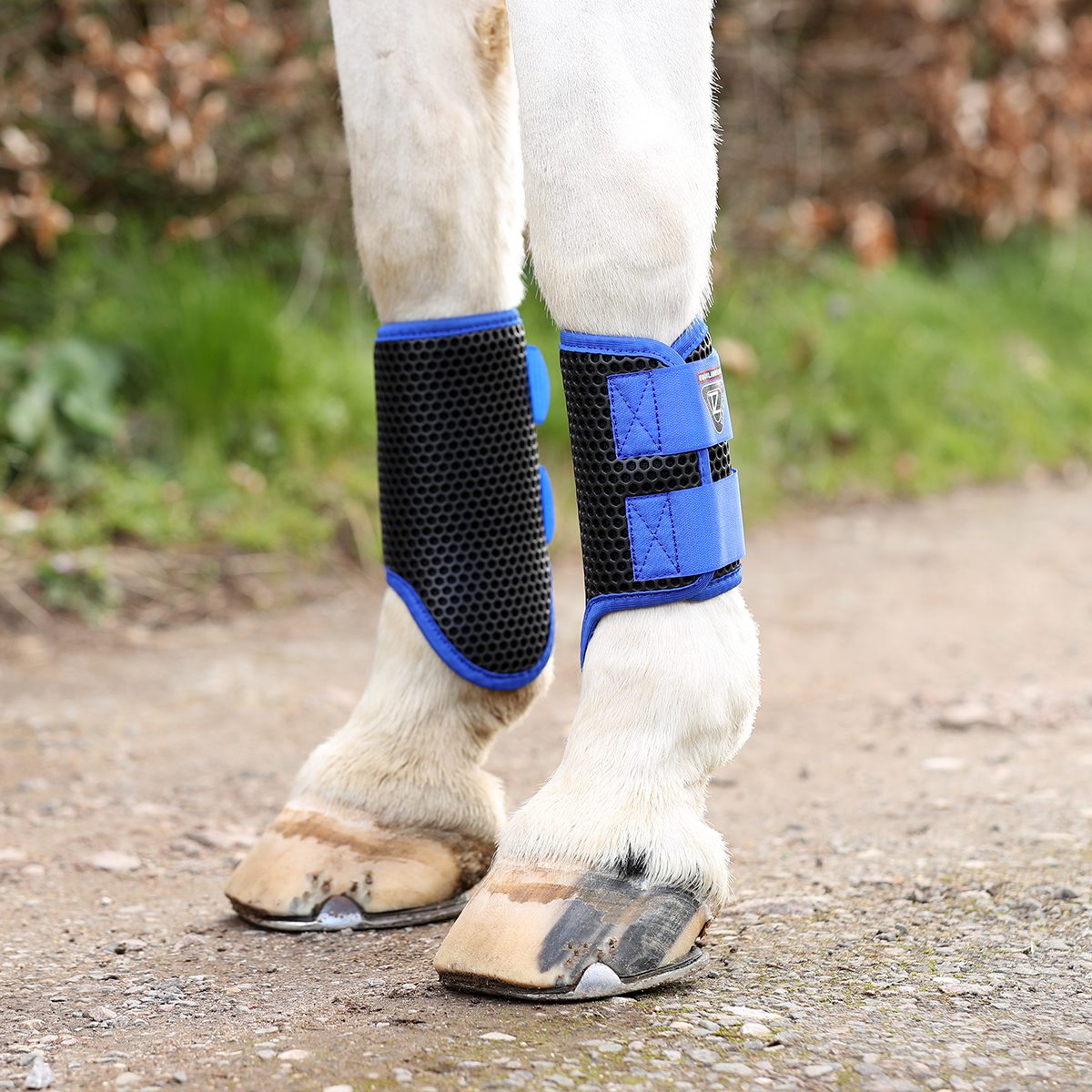 Equilibrium Tri-Zone Brushing Boots