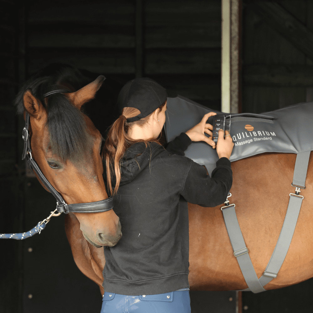 Equilibrium Massage Pad