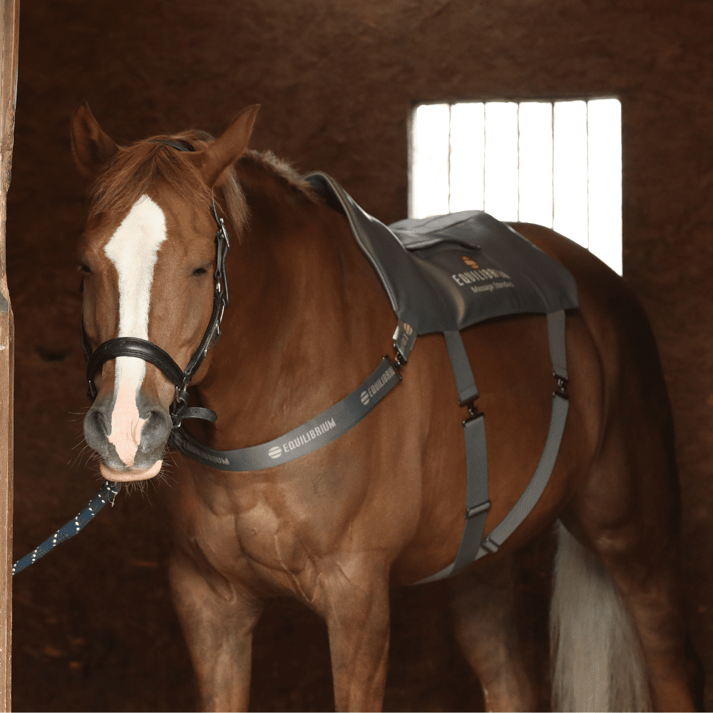 Equilibrium Massage Pad