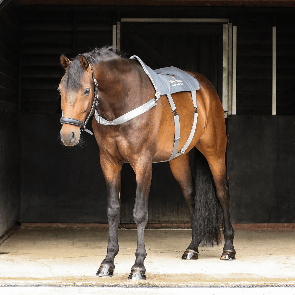 Equilibrium Massage Pad