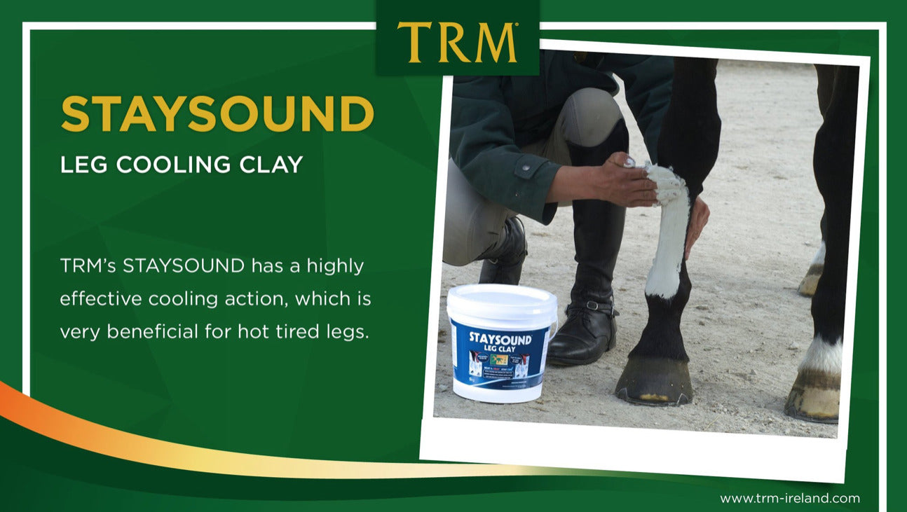TRM STAYSOUND