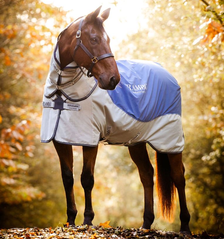 Rambo® Autumn Series Turnout (0g Outer with 100g Liner), 155 cm