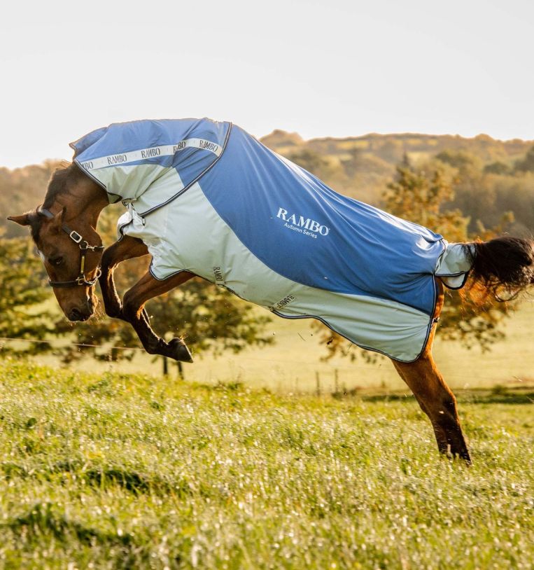 Rambo® Autumn Series Turnout (0g Outer with 100g Liner), 155 cm