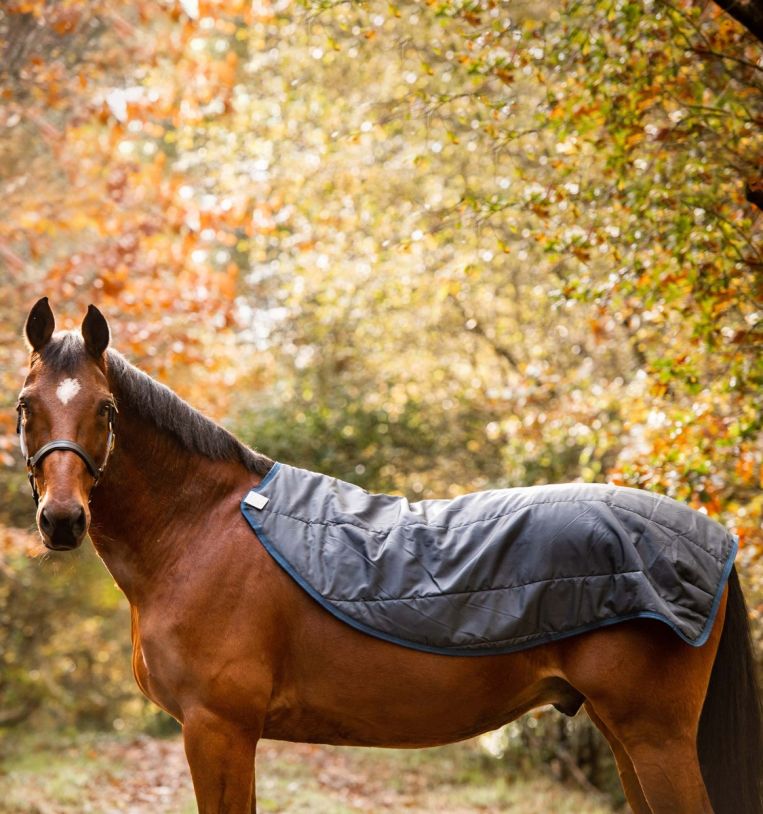 Rambo® Autumn Series Turnout (0g Outer with 100g Liner), 155 cm