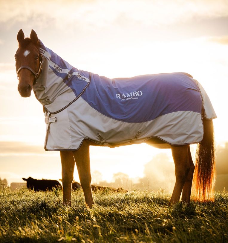 Rambo® Autumn Series Turnout (0g Outer with 100g Liner), 155 cm