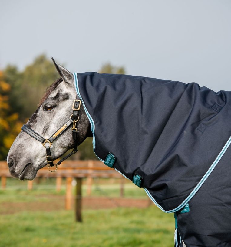 Amigo® Bravo 12 Plus Turnout (250g Medium)