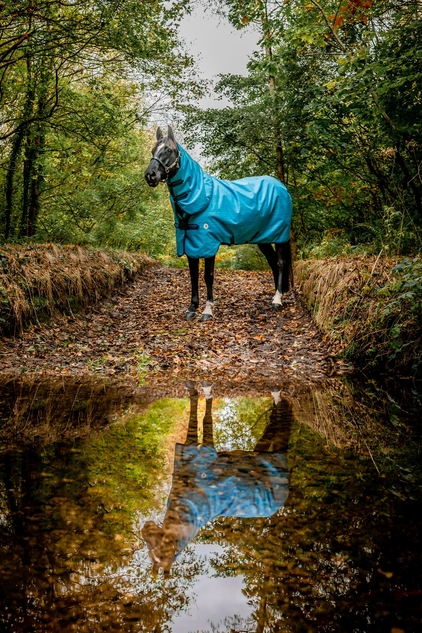 Amigo® Hero 900 Revive Plus Turnout, 50g Light, Ocean Blue/Navy & Electric Blue, 145 cm, 160 cm